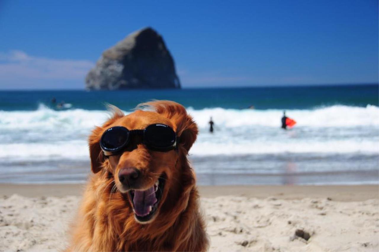 At Cape Kiwanda 3* Pacific City